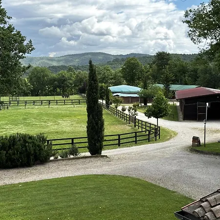 Legi Toscana Pietraviva